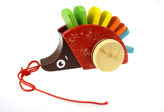 Pull Along Hedgehog